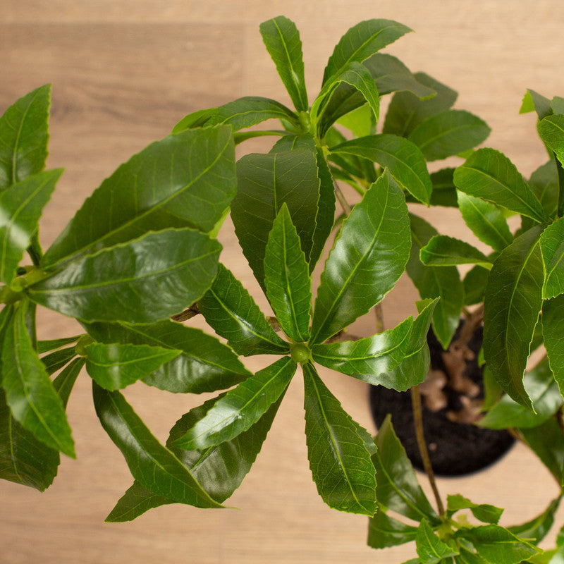 68cm Real Touch Pieris Tree